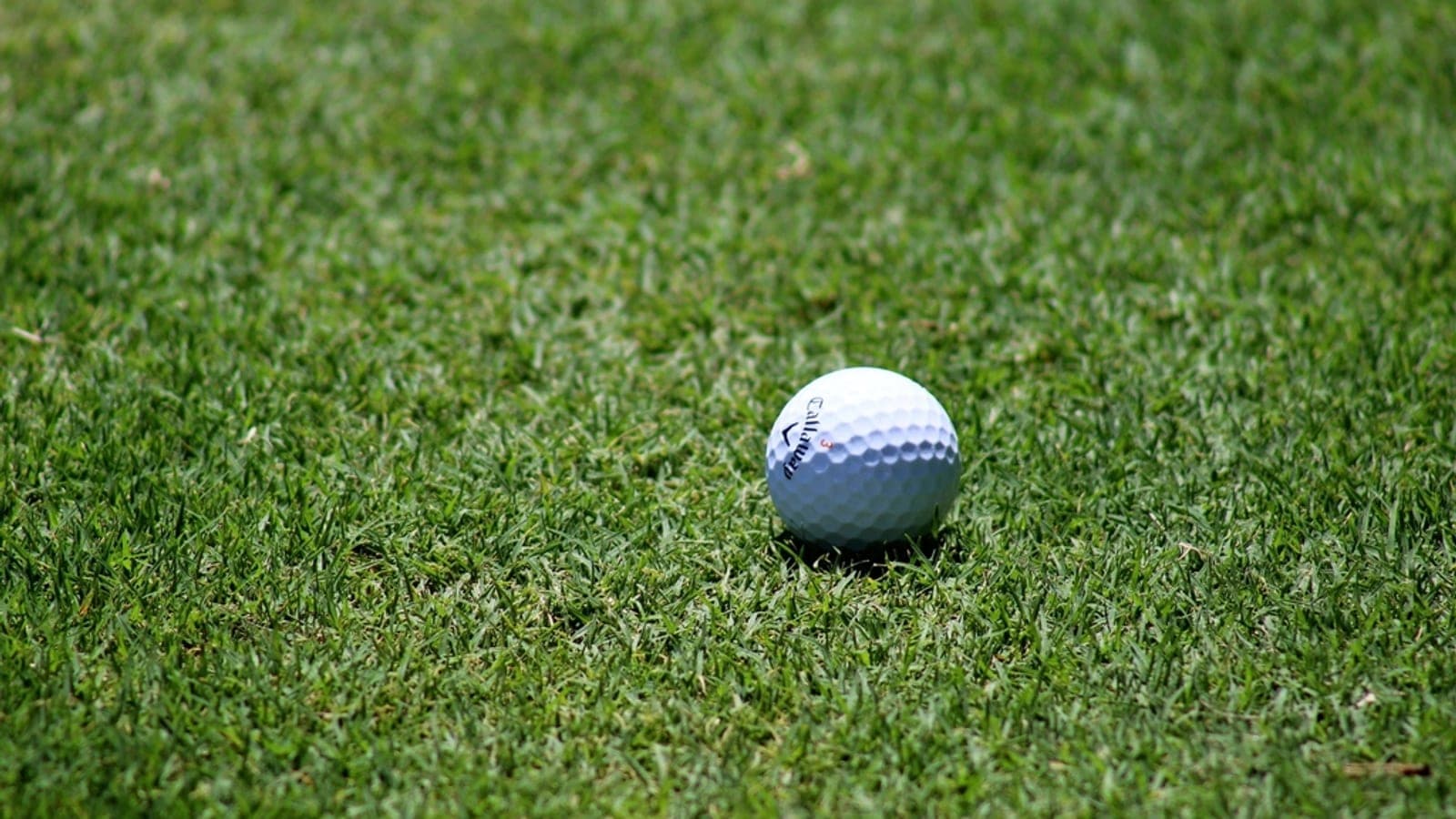 Golf ball on a tee — the language of golf, explained