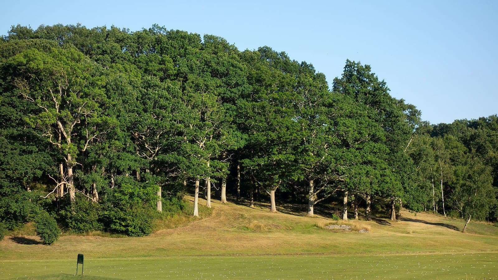 Golf Driving Range