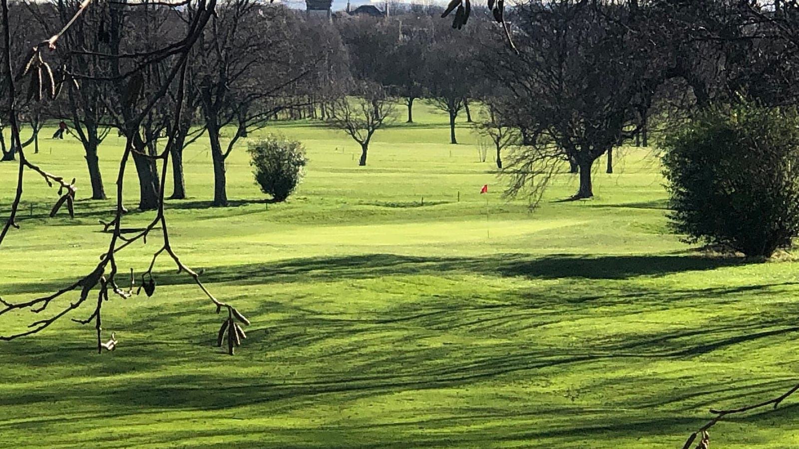 Golf Course Green