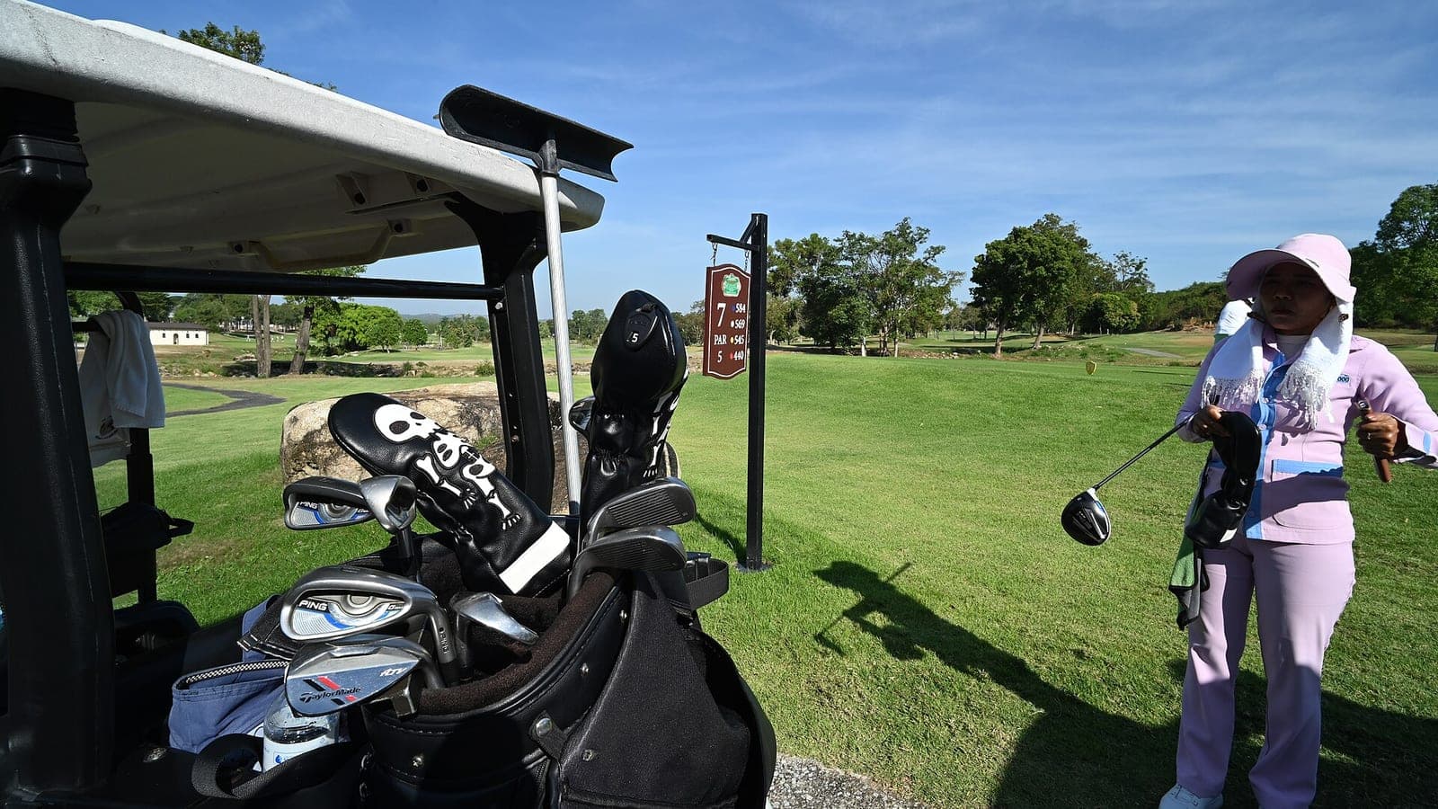 Golf Bag Clubs