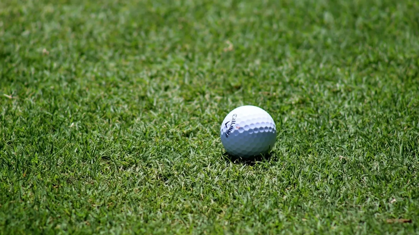 Golf ball on a tee — the language of golf, explained