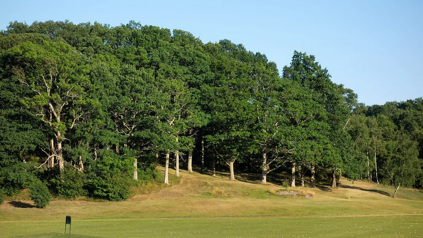 Golf Driving Range