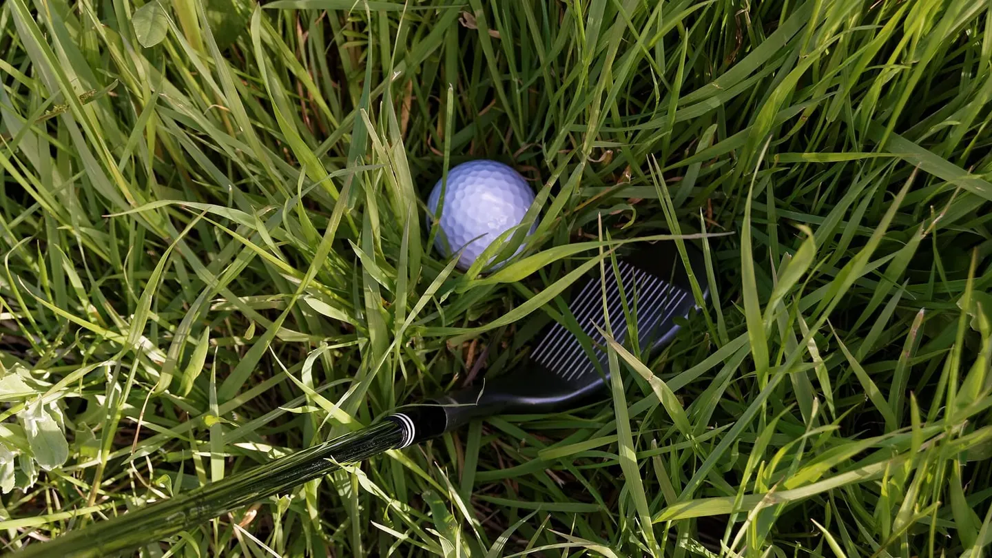 Golf Club Iron