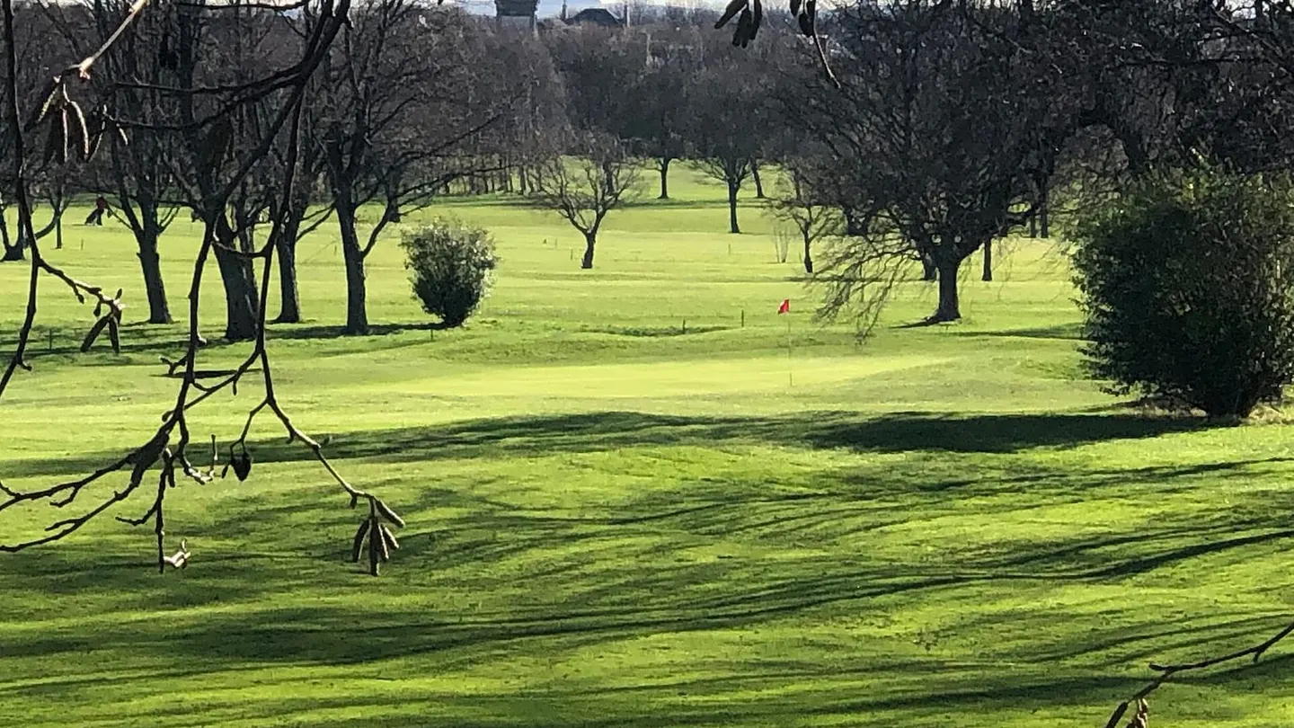 Golf Course Green
