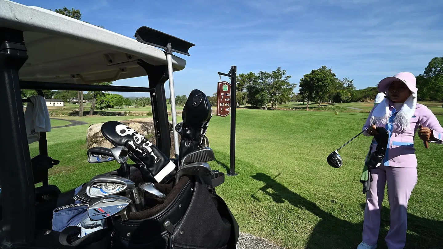 Golf Bag Clubs
